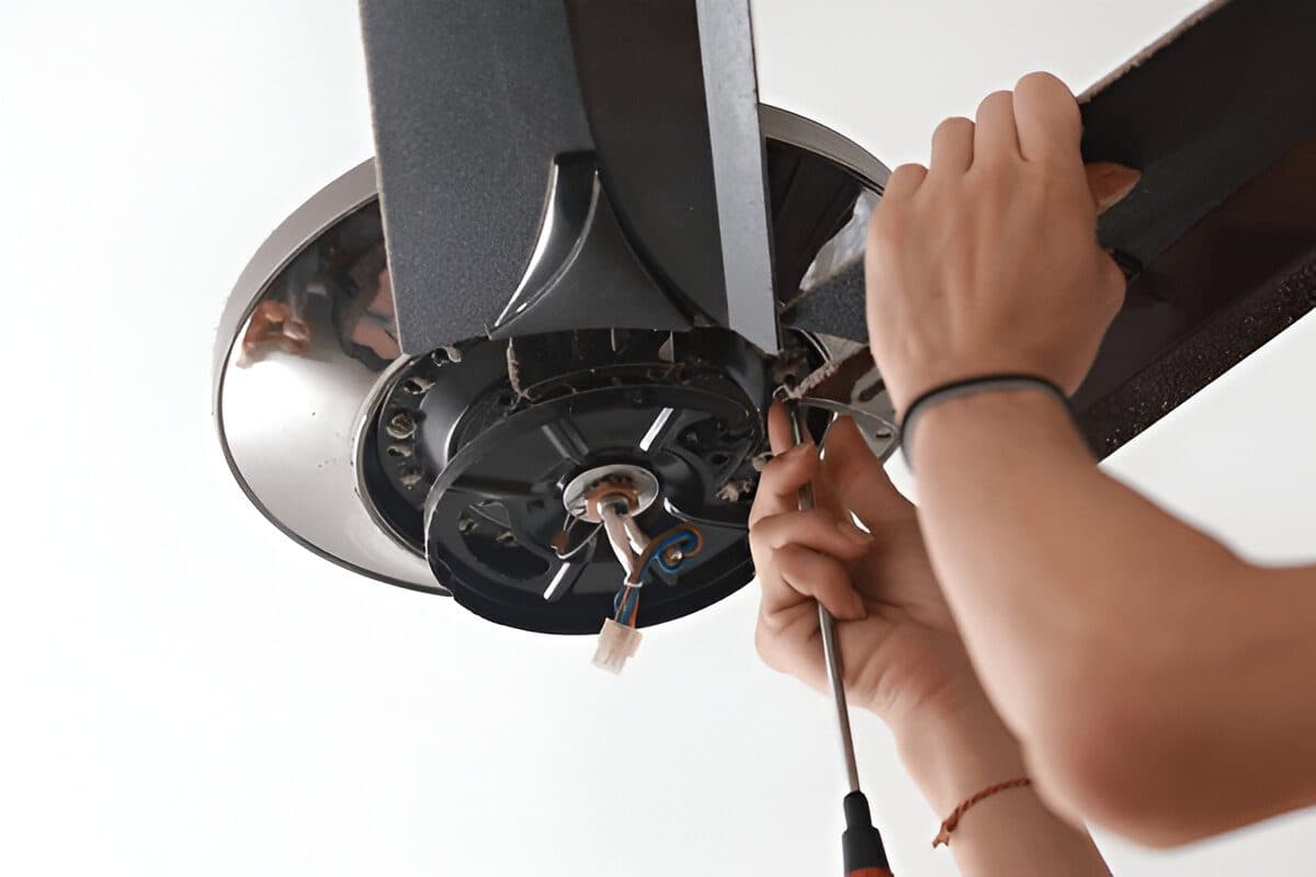 Lighting & Ceiling Fan Installation